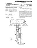 Recirculating Cooling System For Energy Delivery Device diagram and image