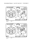 SYSTEM FOR SURGICAL INFORMATION AND FEEDBACK DISPLAY diagram and image