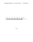 SHAPE-SET TEXTILE STRUCTURE BASED MECHANICAL THROMBECTOMY SYSTEMS diagram and image