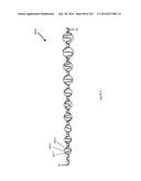 WOVEN VASCULAR DEVICE END TREATMENTS diagram and image