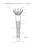 LOADING TOOL FOR CAPTURING STENT POINTS diagram and image