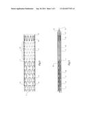 COMPOSITE STENT GRAFT diagram and image