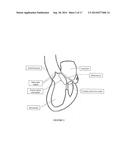 Method and Apparatus for Mitral Valve Annuloplasty diagram and image