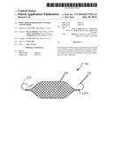 BONE GROWTH PROMOTION SYSTEMS AND METHODS diagram and image