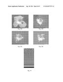 IMPLANTS WITH WEAR RESISTANT COATINGS AND METHODS diagram and image