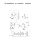 SYSTEM, COMPUTER-IMPLEMENTED METHOD, AND NON-TRANSITORY, COMPUTER-READABLE     MEDIUM TO DETERMINE RELATIVE MARKET VALUE OF A SALE GROUP OF LIVESTOCK     BASED ON GENETIC MERIT AND OTHER NON-GENETIC FACTORS diagram and image