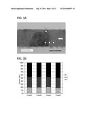 OXIDE SEMICONDUCTOR FILM AND METHOD FOR FORMING OXIDE SEMICONDUCTOR FILM diagram and image