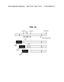 APPARATUS AND METHOD FOR CONTROLLING SELECTIVE USE OF HETEROGENEOUS     NETWORKS ACCORDING TO UNPROCESSED STATE OF DATA BEING STREAMED diagram and image