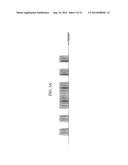 COMMUNICATION SYSTEM, COMMUNICATION DEVICE AND COMMUNICATION METHOD THAT     CAN IMPROVE FREQUENCY USE EFFICIENCY diagram and image