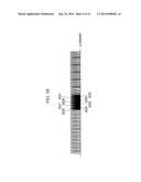 COMMUNICATION SYSTEM, COMMUNICATION DEVICE AND COMMUNICATION METHOD THAT     CAN IMPROVE FREQUENCY USE EFFICIENCY diagram and image