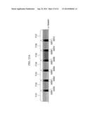 COMMUNICATION SYSTEM, COMMUNICATION DEVICE AND COMMUNICATION METHOD THAT     CAN IMPROVE FREQUENCY USE EFFICIENCY diagram and image