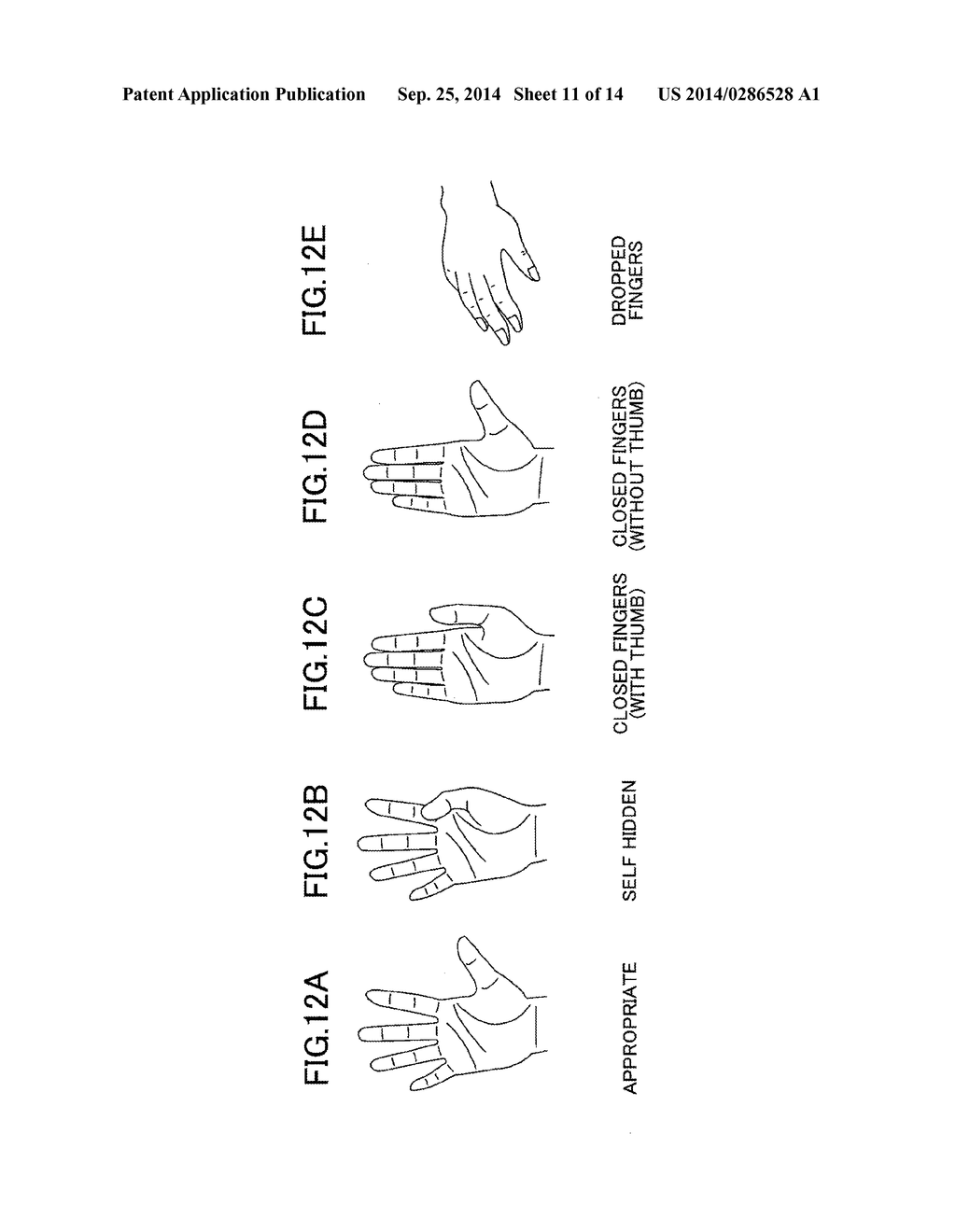 BIOMETRIC INFORMATION INPUT APPARATUS AND BIOMETRIC INFORMATION INPUT     METHOD - diagram, schematic, and image 12