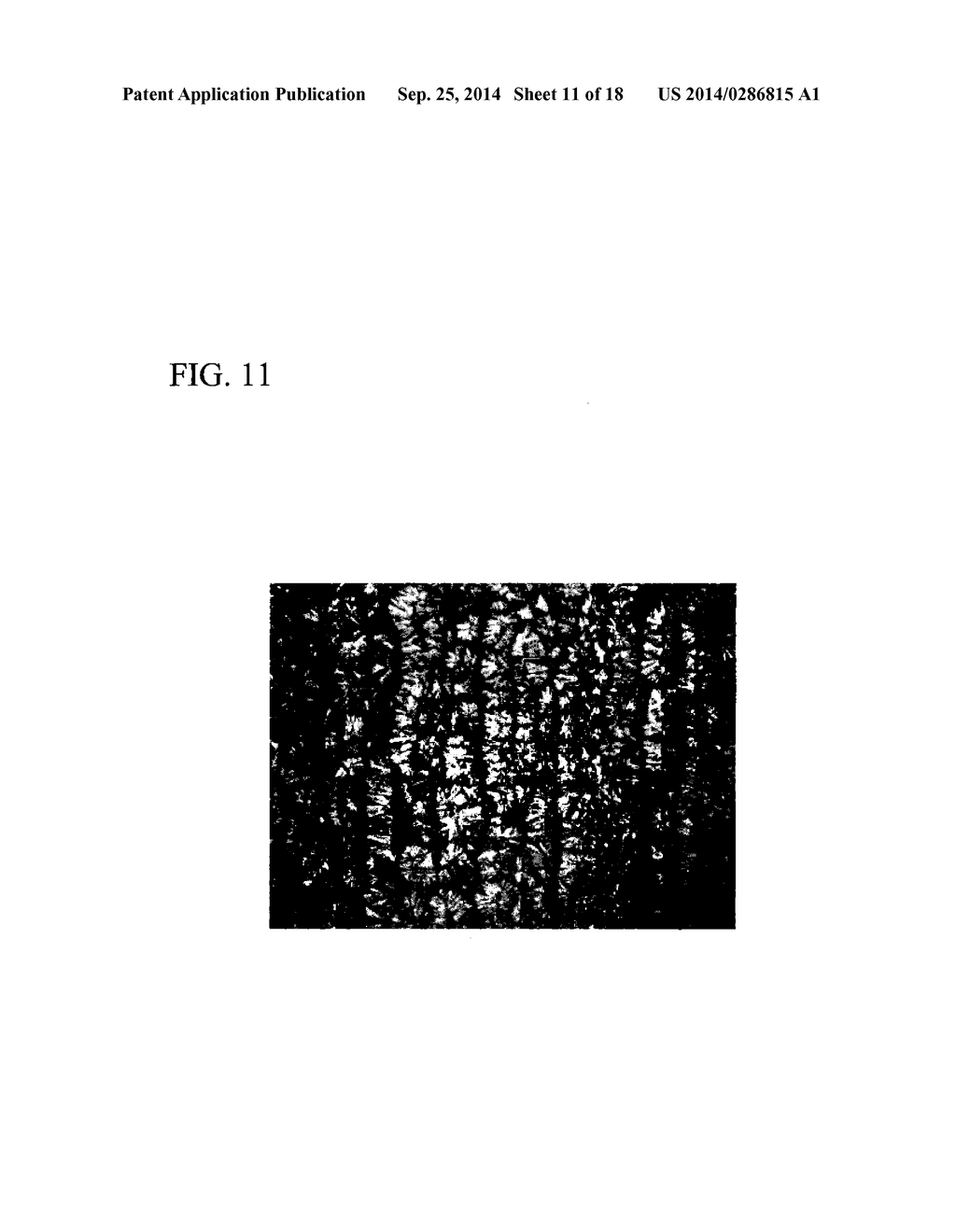 R-T-B BASED ALLOY STRIP, AND R-T-B BASED SINTERED MAGNET AND METHOD FOR     PRODUCING SAME - diagram, schematic, and image 12