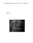 R-T-B BASED ALLOY STRIP, AND R-T-B BASED SINTERED MAGNET AND METHOD FOR     PRODUCING SAME diagram and image
