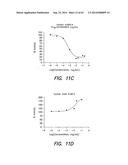 PSMA ANTIBODIES AND USES THEREOF diagram and image