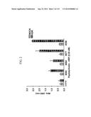 KDR AND VEGF/KDR BINDING PEPTIDES AND THEIR USE IN DIAGNOSIS AND THERAPY diagram and image