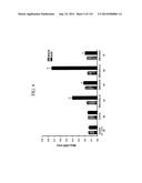 KDR AND VEGF/KDR BINDING PEPTIDES AND THEIR USE IN DIAGNOSIS AND THERAPY diagram and image