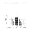 KDR AND VEGF/KDR BINDING PEPTIDES AND THEIR USE IN DIAGNOSIS AND THERAPY diagram and image