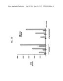 KDR AND VEGF/KDR BINDING PEPTIDES AND THEIR USE IN DIAGNOSIS AND THERAPY diagram and image