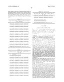 KDR AND VEGF/KDR BINDING PEPTIDES AND THEIR USE IN DIAGNOSIS AND THERAPY diagram and image