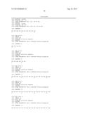 KDR AND VEGF/KDR BINDING PEPTIDES AND THEIR USE IN DIAGNOSIS AND THERAPY diagram and image