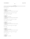 KDR AND VEGF/KDR BINDING PEPTIDES AND THEIR USE IN DIAGNOSIS AND THERAPY diagram and image