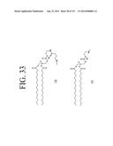 KDR AND VEGF/KDR BINDING PEPTIDES AND THEIR USE IN DIAGNOSIS AND THERAPY diagram and image