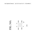 KDR AND VEGF/KDR BINDING PEPTIDES AND THEIR USE IN DIAGNOSIS AND THERAPY diagram and image