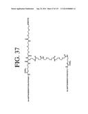 KDR AND VEGF/KDR BINDING PEPTIDES AND THEIR USE IN DIAGNOSIS AND THERAPY diagram and image