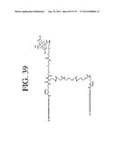 KDR AND VEGF/KDR BINDING PEPTIDES AND THEIR USE IN DIAGNOSIS AND THERAPY diagram and image