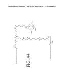 KDR AND VEGF/KDR BINDING PEPTIDES AND THEIR USE IN DIAGNOSIS AND THERAPY diagram and image