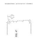 KDR AND VEGF/KDR BINDING PEPTIDES AND THEIR USE IN DIAGNOSIS AND THERAPY diagram and image