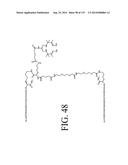 KDR AND VEGF/KDR BINDING PEPTIDES AND THEIR USE IN DIAGNOSIS AND THERAPY diagram and image