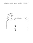 KDR AND VEGF/KDR BINDING PEPTIDES AND THEIR USE IN DIAGNOSIS AND THERAPY diagram and image