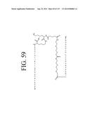 KDR AND VEGF/KDR BINDING PEPTIDES AND THEIR USE IN DIAGNOSIS AND THERAPY diagram and image