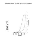 KDR AND VEGF/KDR BINDING PEPTIDES AND THEIR USE IN DIAGNOSIS AND THERAPY diagram and image