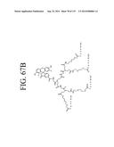 KDR AND VEGF/KDR BINDING PEPTIDES AND THEIR USE IN DIAGNOSIS AND THERAPY diagram and image