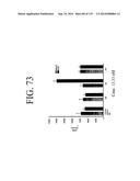 KDR AND VEGF/KDR BINDING PEPTIDES AND THEIR USE IN DIAGNOSIS AND THERAPY diagram and image