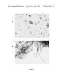 CELL REPOPULATED COLLAGEN MATRIX FOR SOFT TISSUE REPAIR AND REGENERATION diagram and image