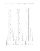 Methods of Treating Inflammatory Disorders Using Anti-M-CSF Antibodies diagram and image