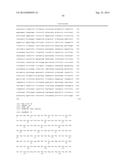 Methods of Treating Inflammatory Disorders Using Anti-M-CSF Antibodies diagram and image