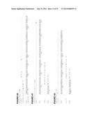 Methods of Treating Inflammatory Disorders Using Anti-M-CSF Antibodies diagram and image