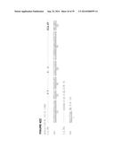 Methods of Treating Inflammatory Disorders Using Anti-M-CSF Antibodies diagram and image