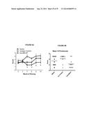 Methods of Treating Inflammatory Disorders Using Anti-M-CSF Antibodies diagram and image