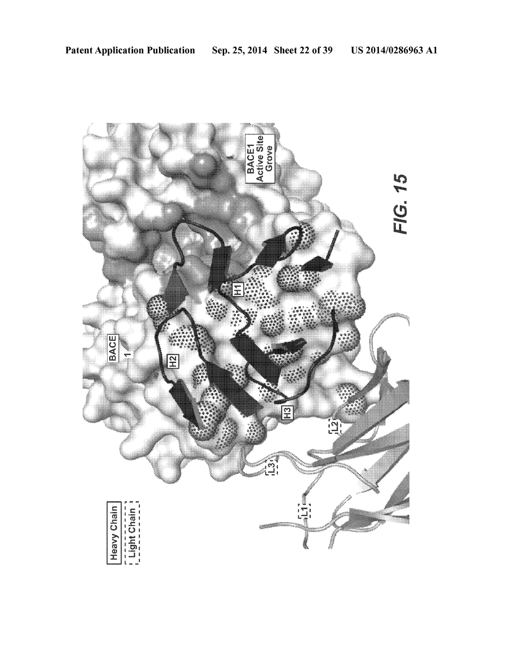 METHODS AND COMPOSITIONS FOR NEURAL DISEASE IMMUNOTHERAPY - diagram, schematic, and image 23