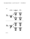 Methods for Identifying Janus Kinase (JAK) Modulators for Therapeutics diagram and image