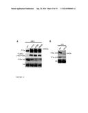 Methods for Identifying Janus Kinase (JAK) Modulators for Therapeutics diagram and image