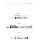 Compositions and Methods for the Treatment or Prevention of Hepatitis B     Virus Infection diagram and image