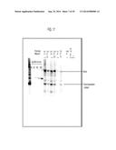 Compositions and Methods for the Treatment or Prevention of Hepatitis B     Virus Infection diagram and image