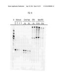 Compositions and Methods for the Treatment or Prevention of Hepatitis B     Virus Infection diagram and image